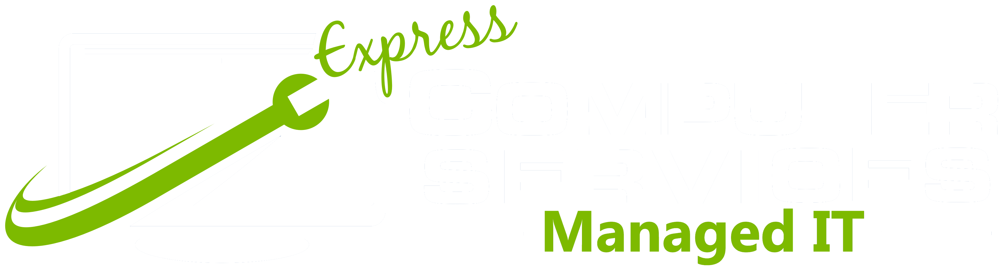 Express Computer Services